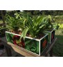 Special Indoor Plants With PVC Waterproof Theme BOX 